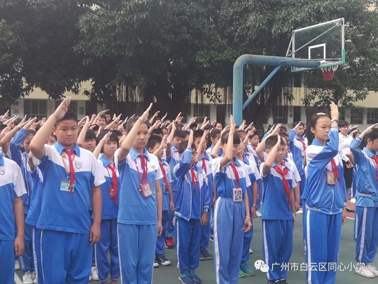 广州市白云区同心小学2019秋季招生简章