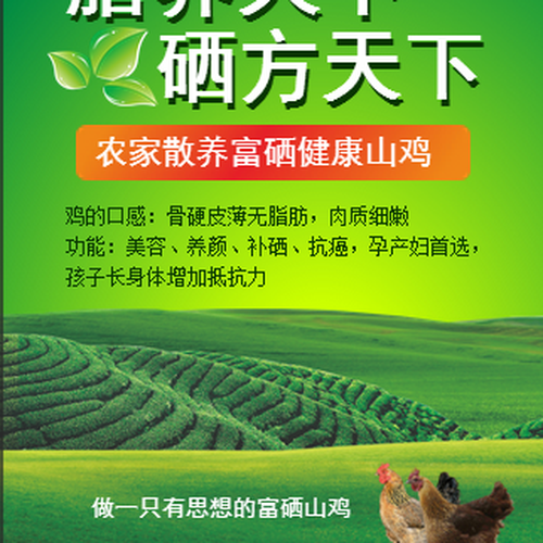 路路土雞/正宗原生態農家散養土雞