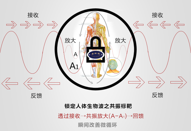 以德国为电子生物专利技术为基础 以量子医学原理根据人体生物波共振