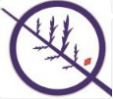 分会场:循证医学与非医学学科交叉融合