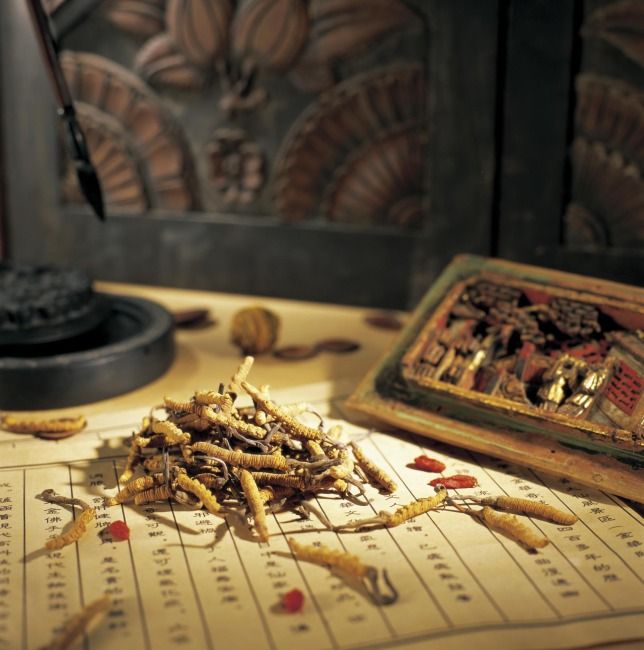 晉醫(yī)在線