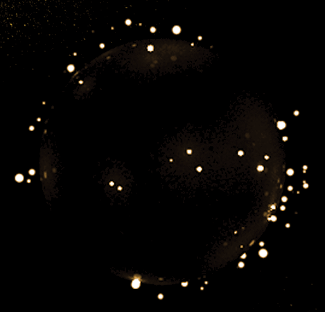 建行金家庭新增资深新成员