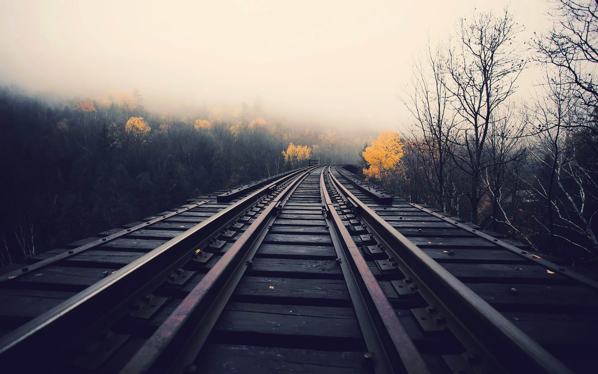 徐水线路车间 职工星级评选掠影