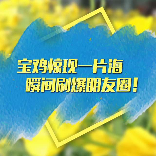 清明去踏青？不如來看油菜花海！