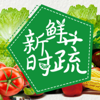 農家小園綠色蔬菜種植基地