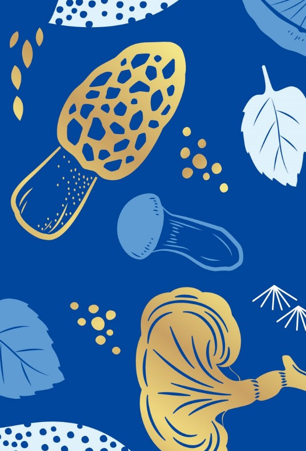 味蕾的狂欢  菌菇的盛宴