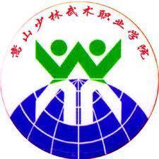 嵩山少林武術職業學院