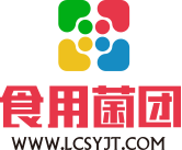 食用菌团 欢迎您!