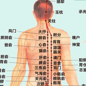 国康12经络走向图