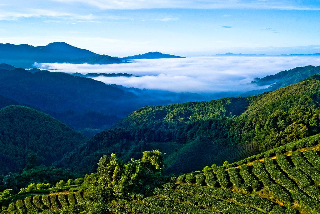 广西故事——昭平农改 革新之路