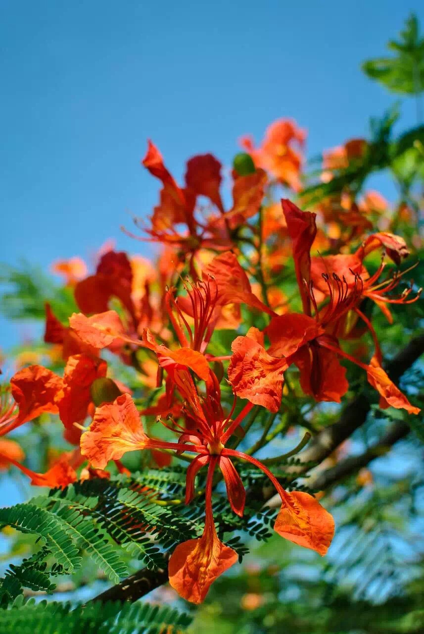 齐做文明人   共创文明城