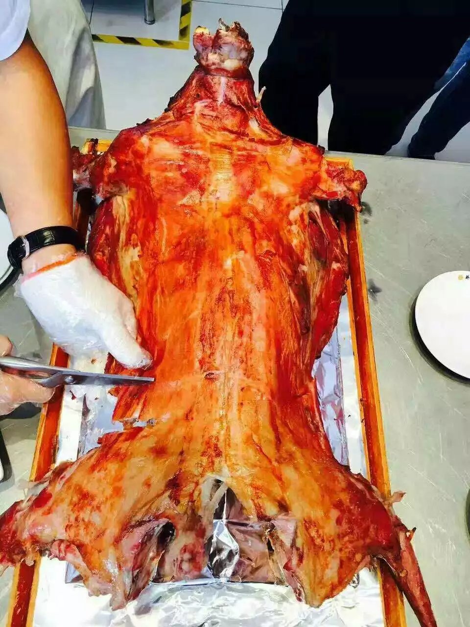 宝宴"春之约惠"活动开始了