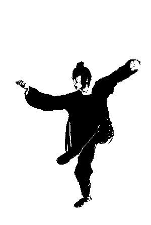 太极大师-施元刚,引领你走进太极养生,健康长寿之路,体悟太极