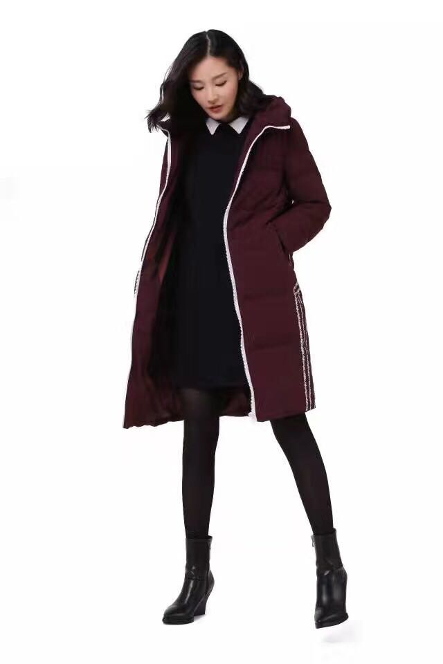 领秀羽绒服温暖你我她