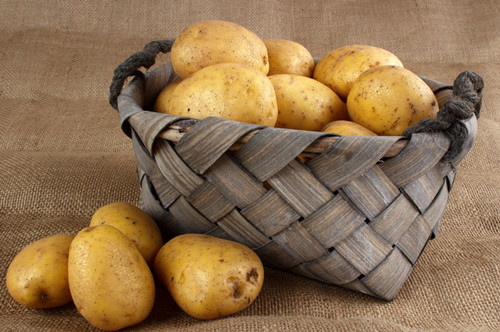 马铃薯采后储藏