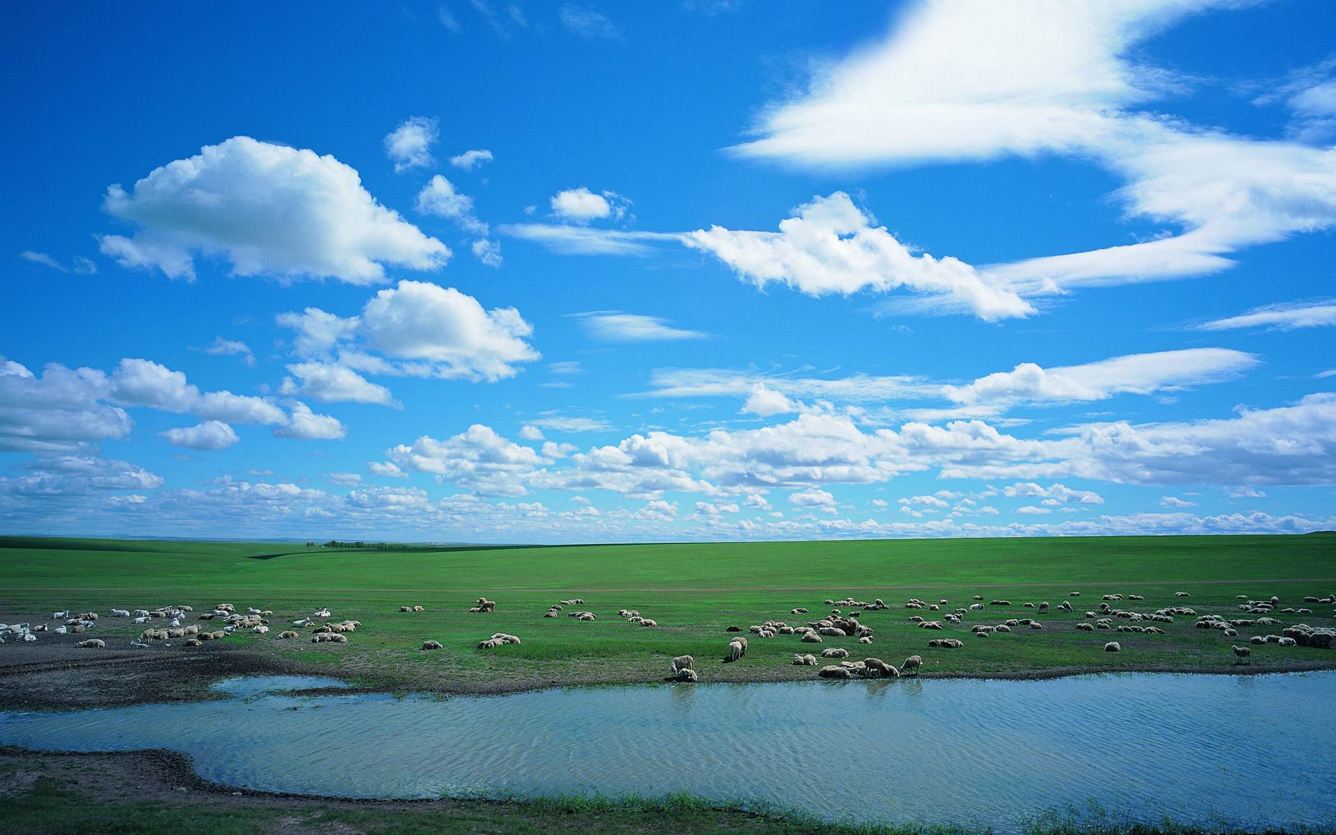 鄂尔多斯市旅游护照app