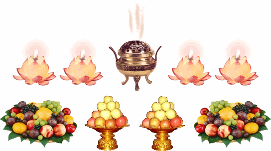 544_303gif 动态图 动图