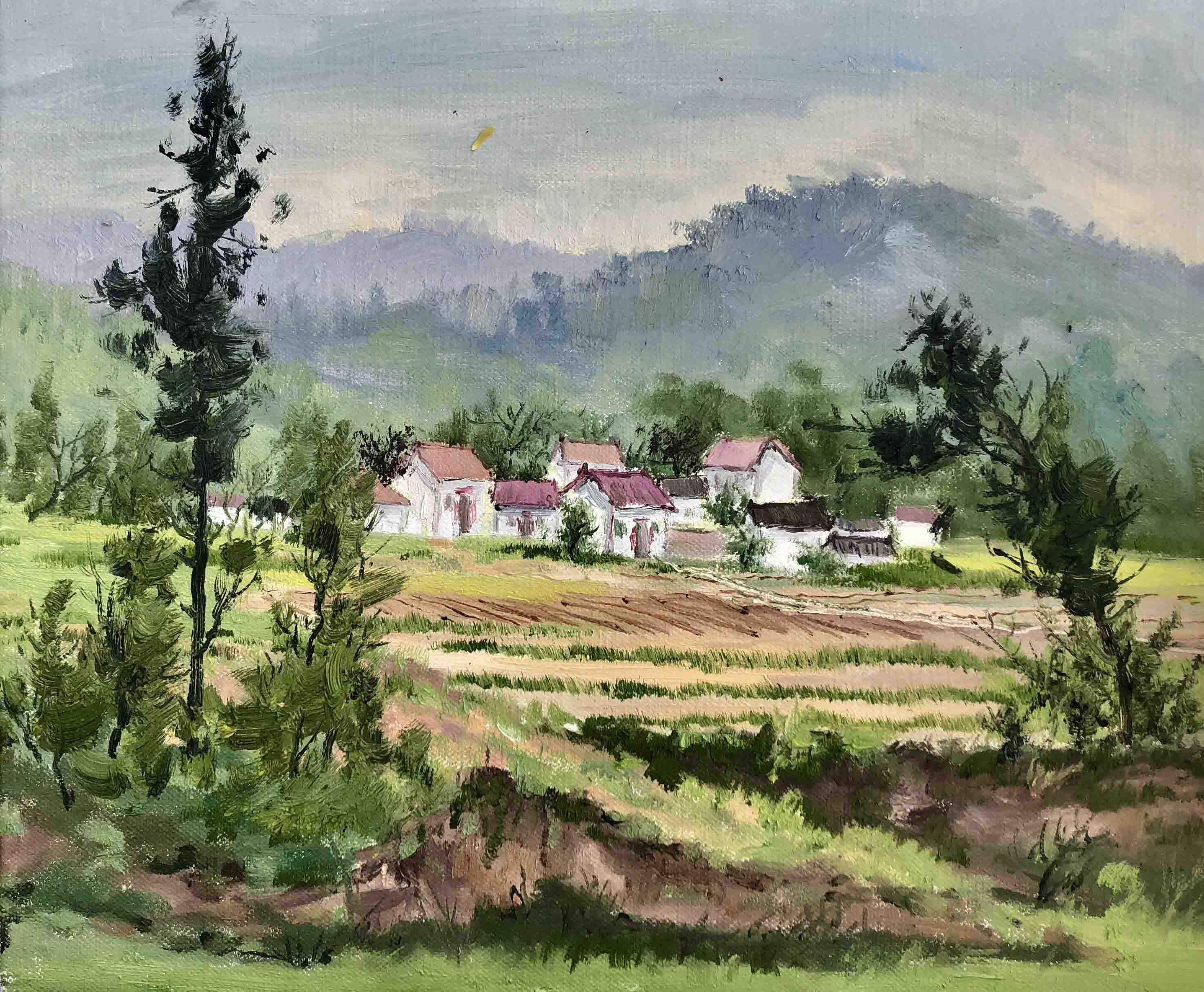 西安情采油画学会镇安云盖寺写生圆满成功