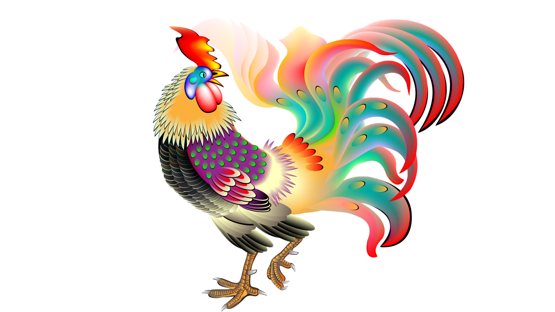 金鸡鸿运贺新春!迎春送福送吉祥!  金鸡送你财神到!鸿发猛进花不完!