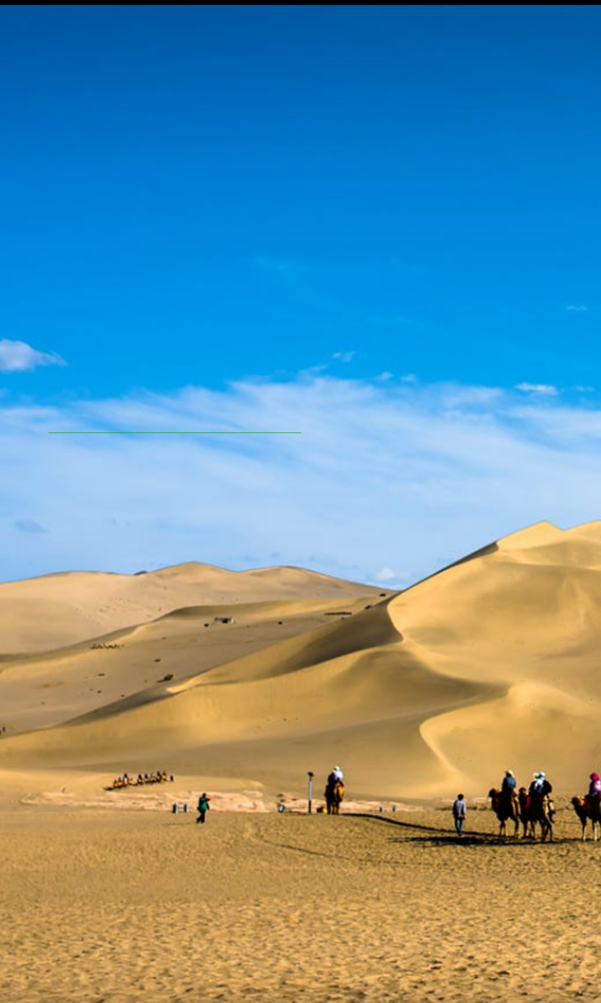 2017年度"伊鲜网"商家入驻