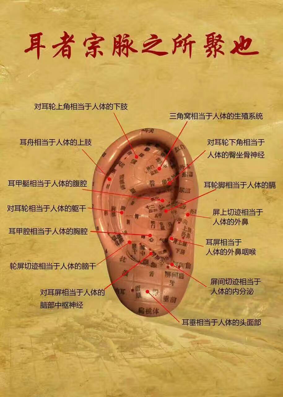 疗法nk免疫细胞自体疗法中药导入治疗新疗法毫刃针特色疗法古老疗法