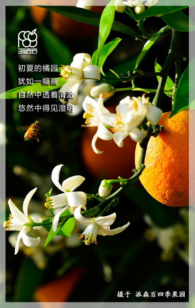 派森百祝您五一快乐!