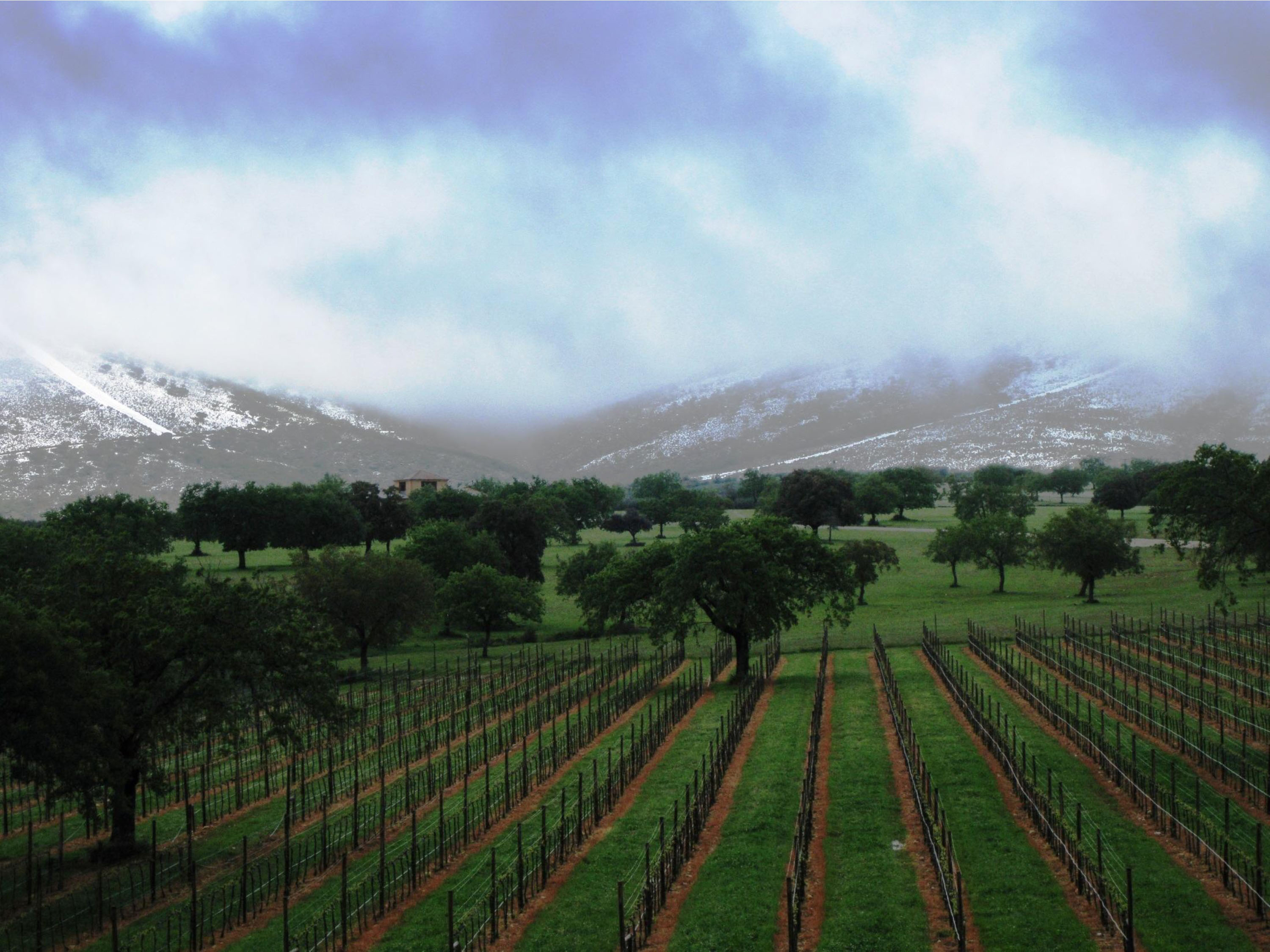 女皇邂逅国王酒（惠州馆）