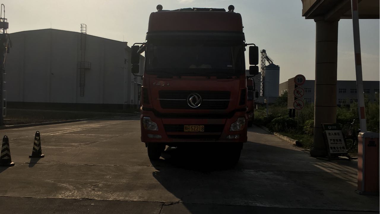 沙洋分公司收购现场（2）