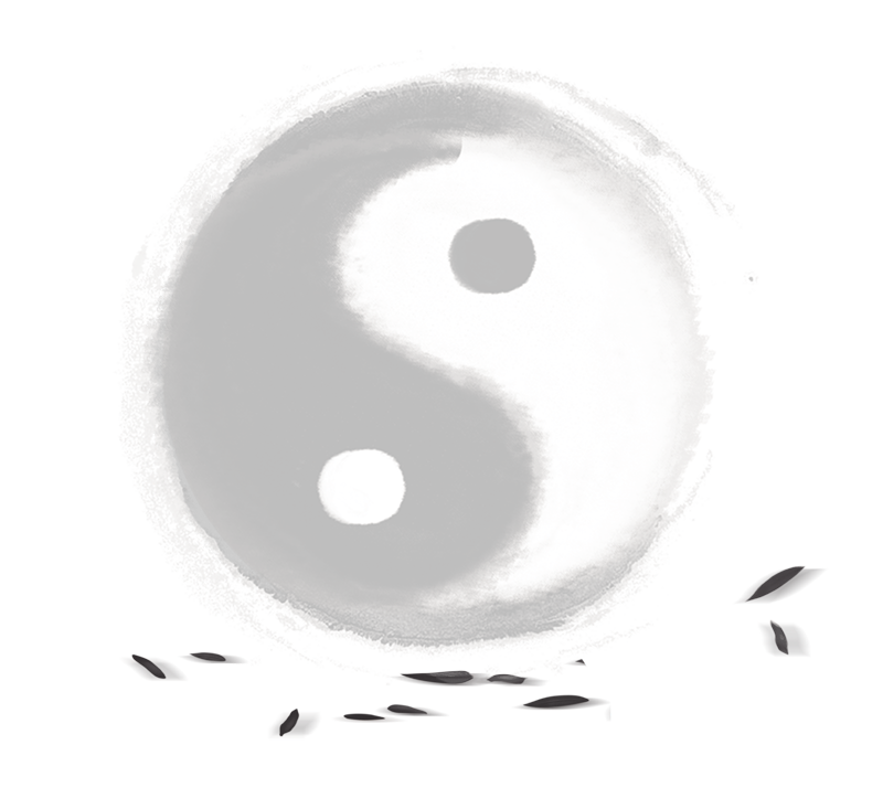 五方太极 - 名师介绍