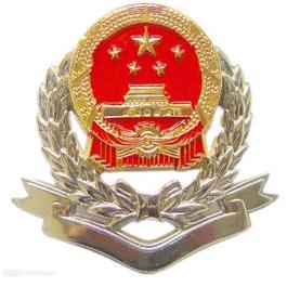 党旗税徽相映红
